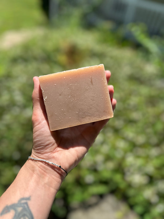 Coconut Milk Moisture Bar