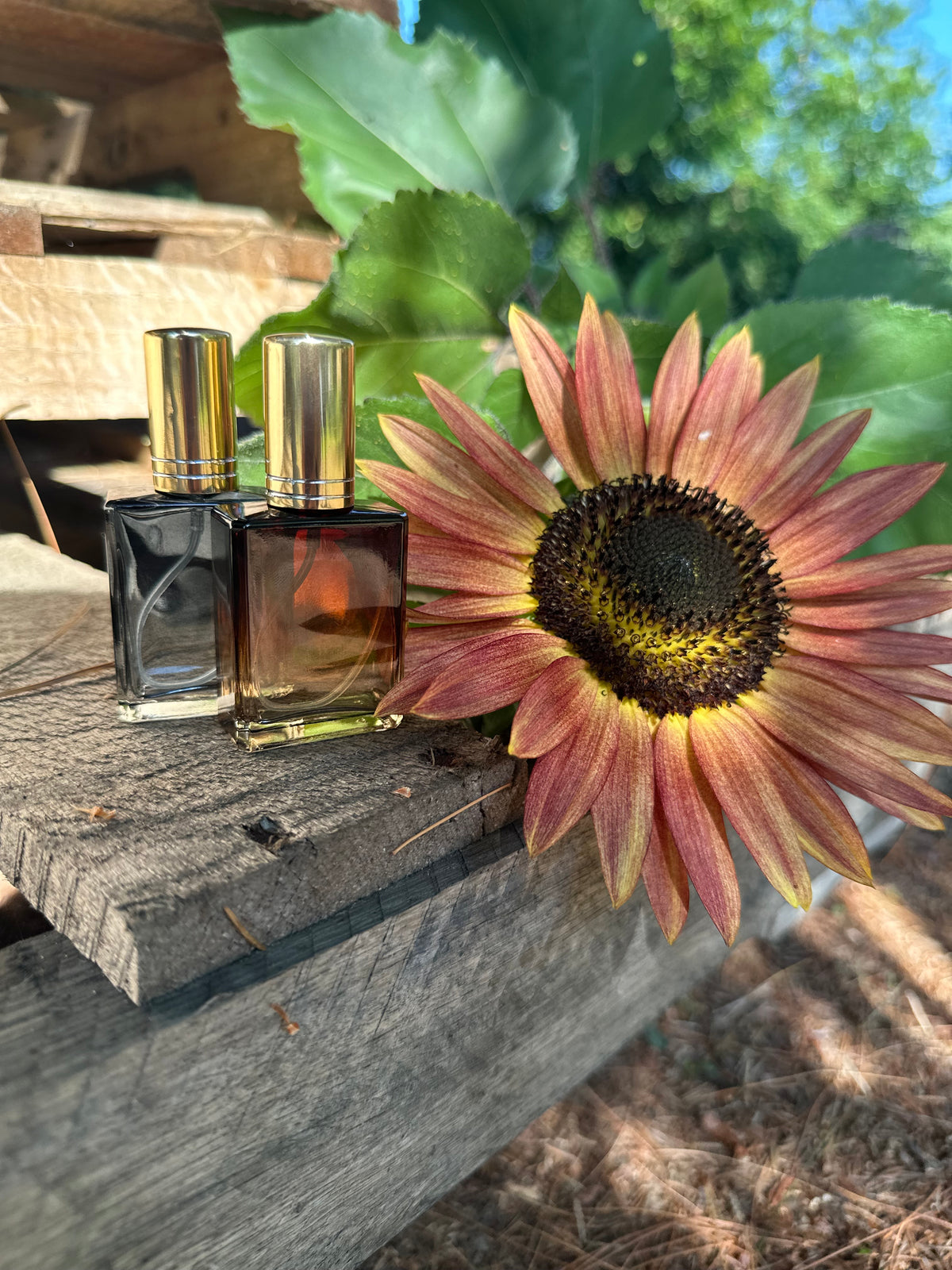 Autumn Perfumes | Cologne | Autumn Collection 2026