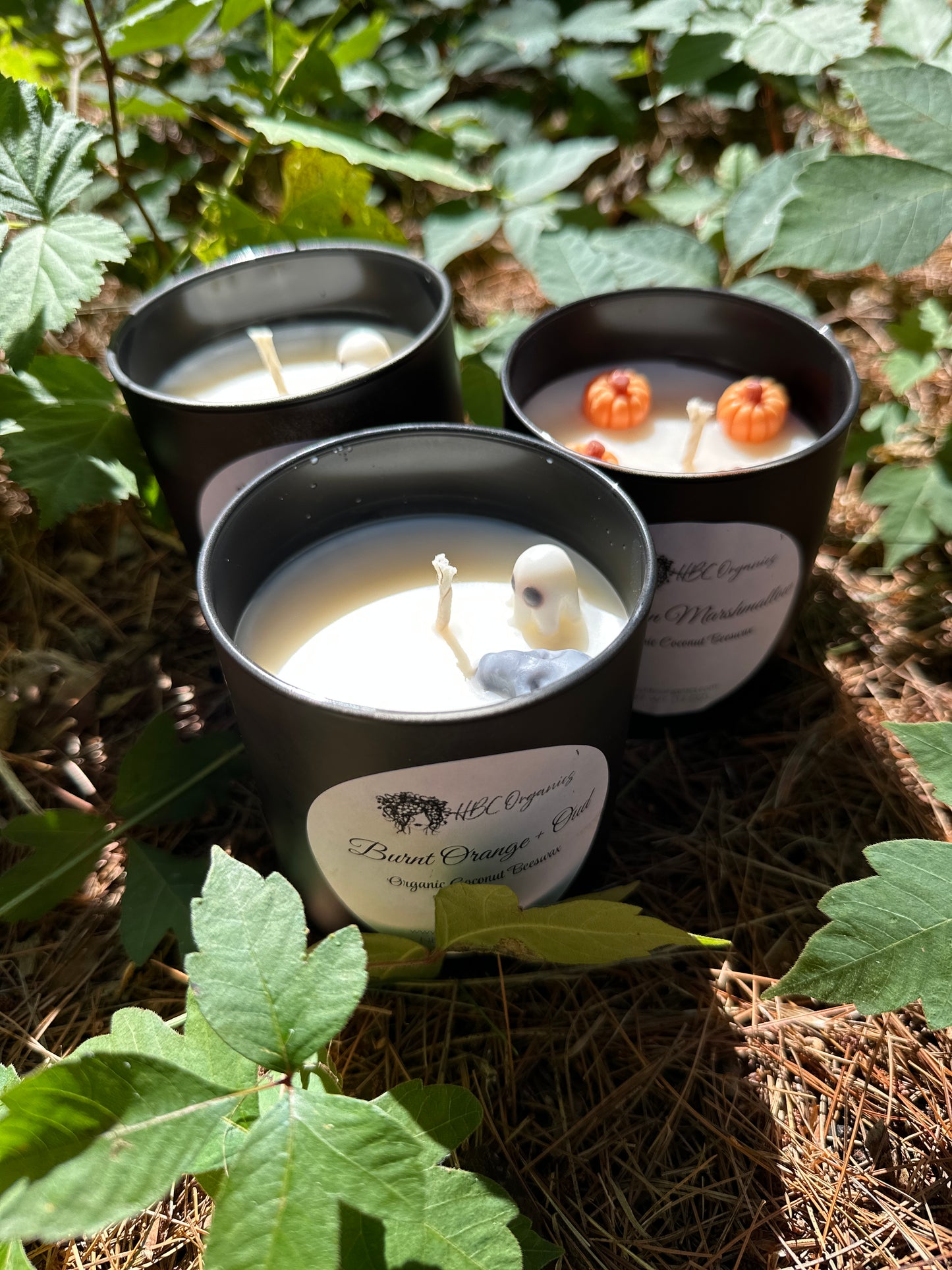 Autumn Launch Candle Trio