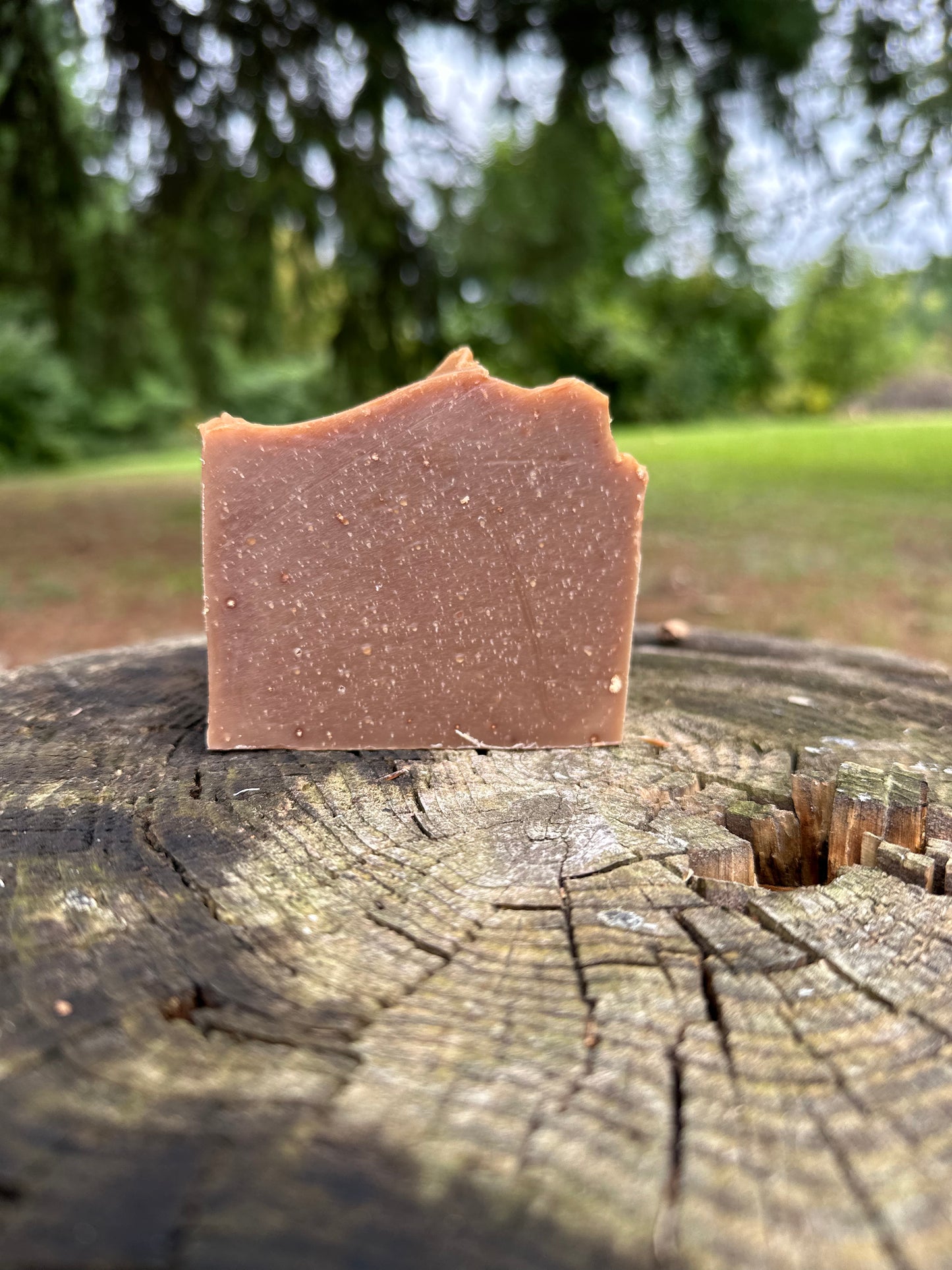 Oktoberfest Beer Cold Process Soap