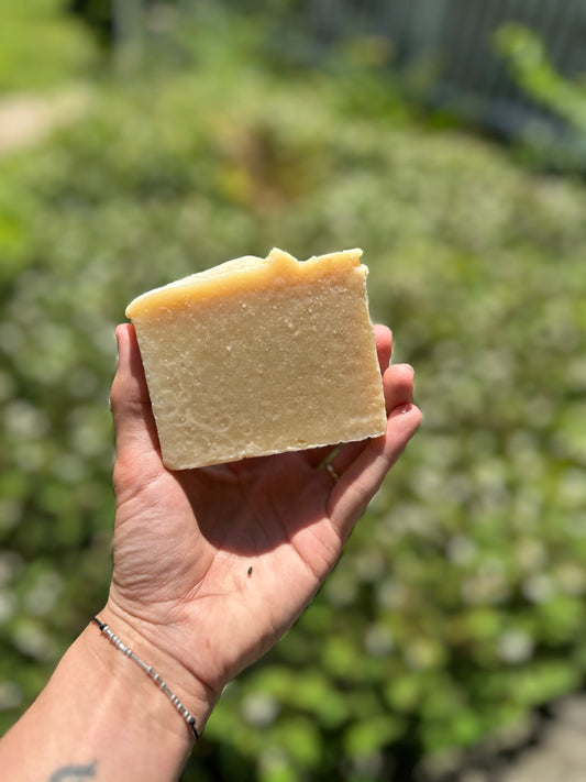 Bucha Babe – Kombucha SCOBY Soap Bar