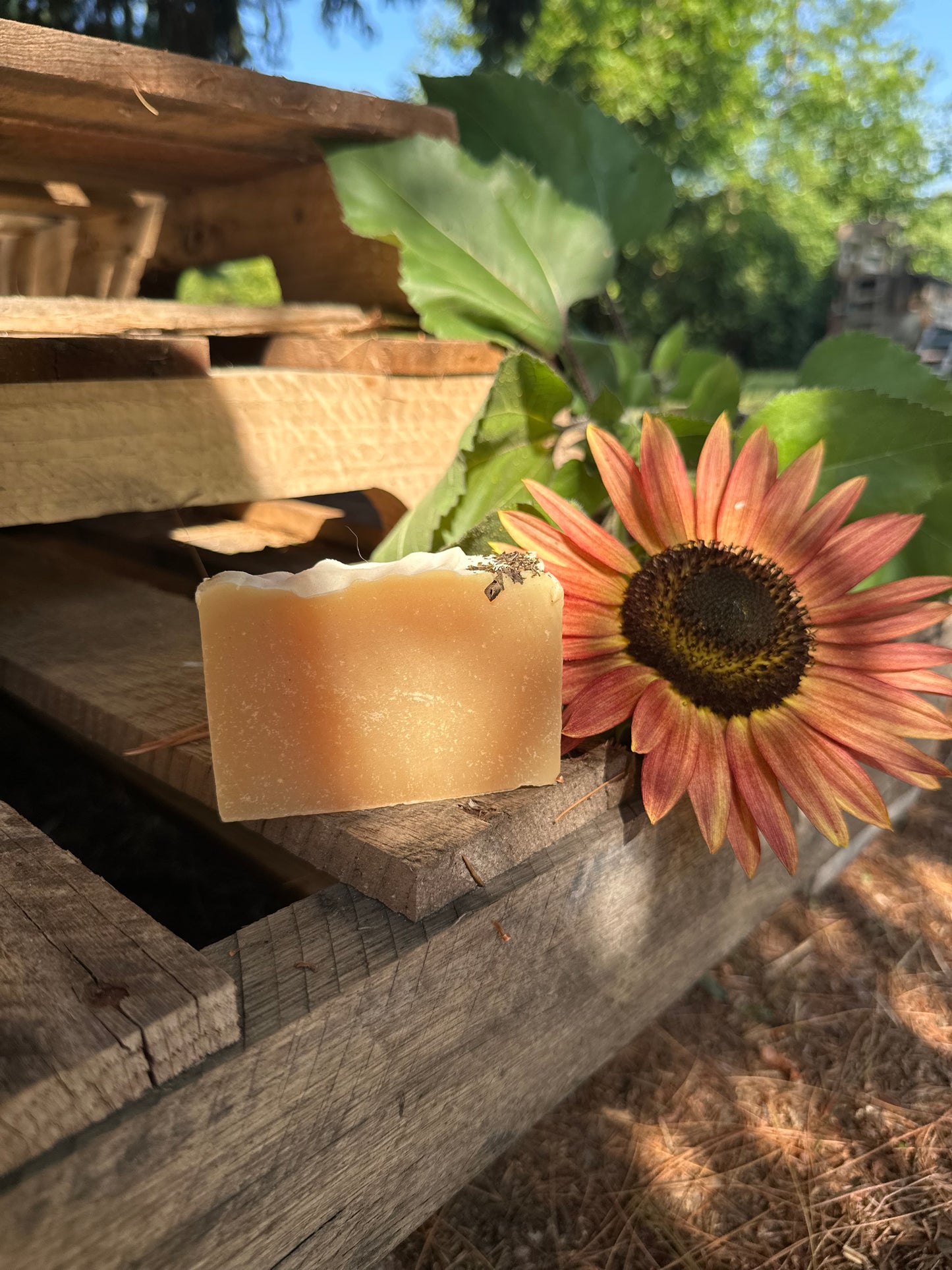 Citrus + Basil Bar Soap
