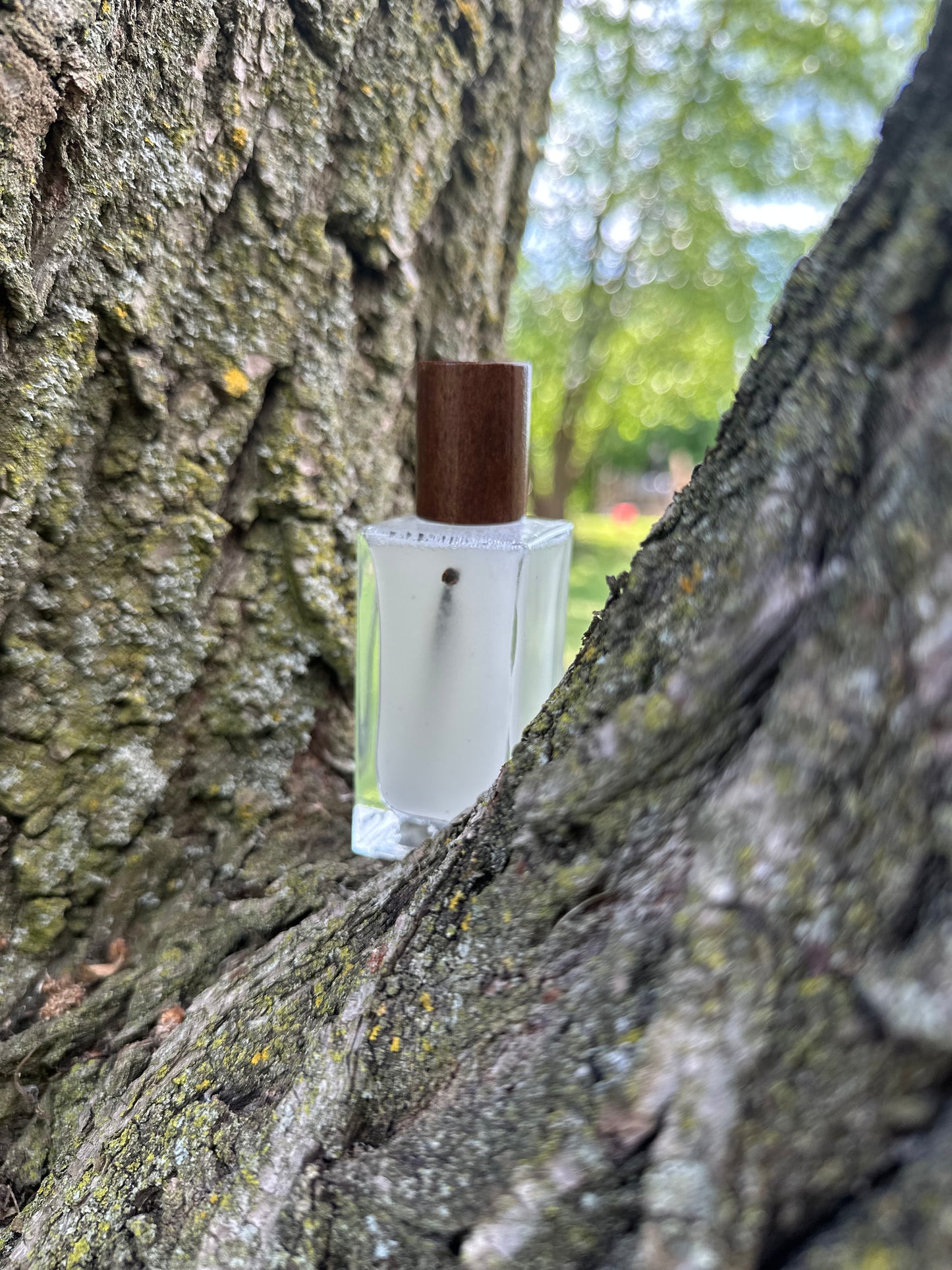 Saffron & Ginger Body Spray | Scent Saturday June 20th 2026