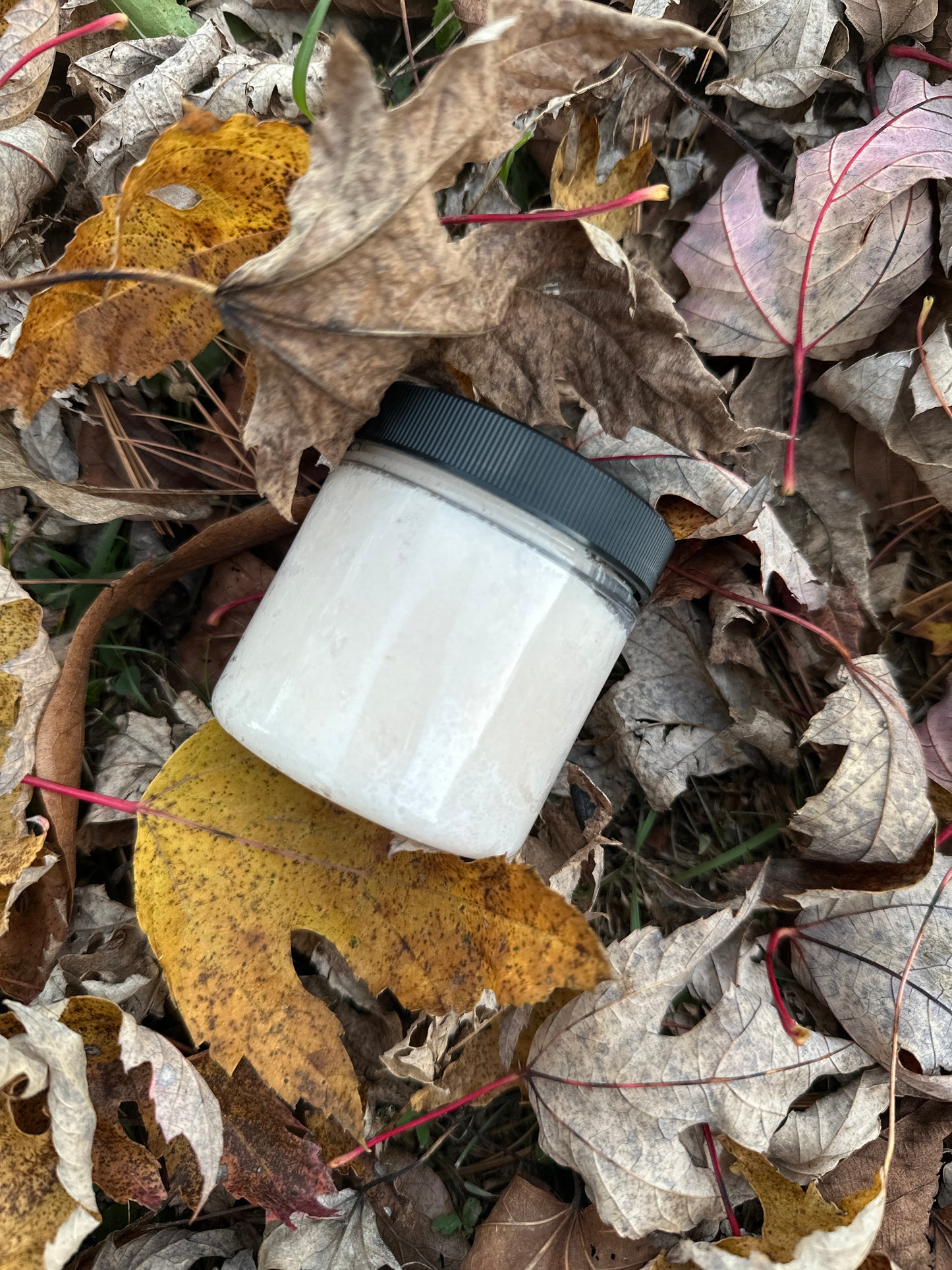 Pasture Raised Tallow Sugar Scrub