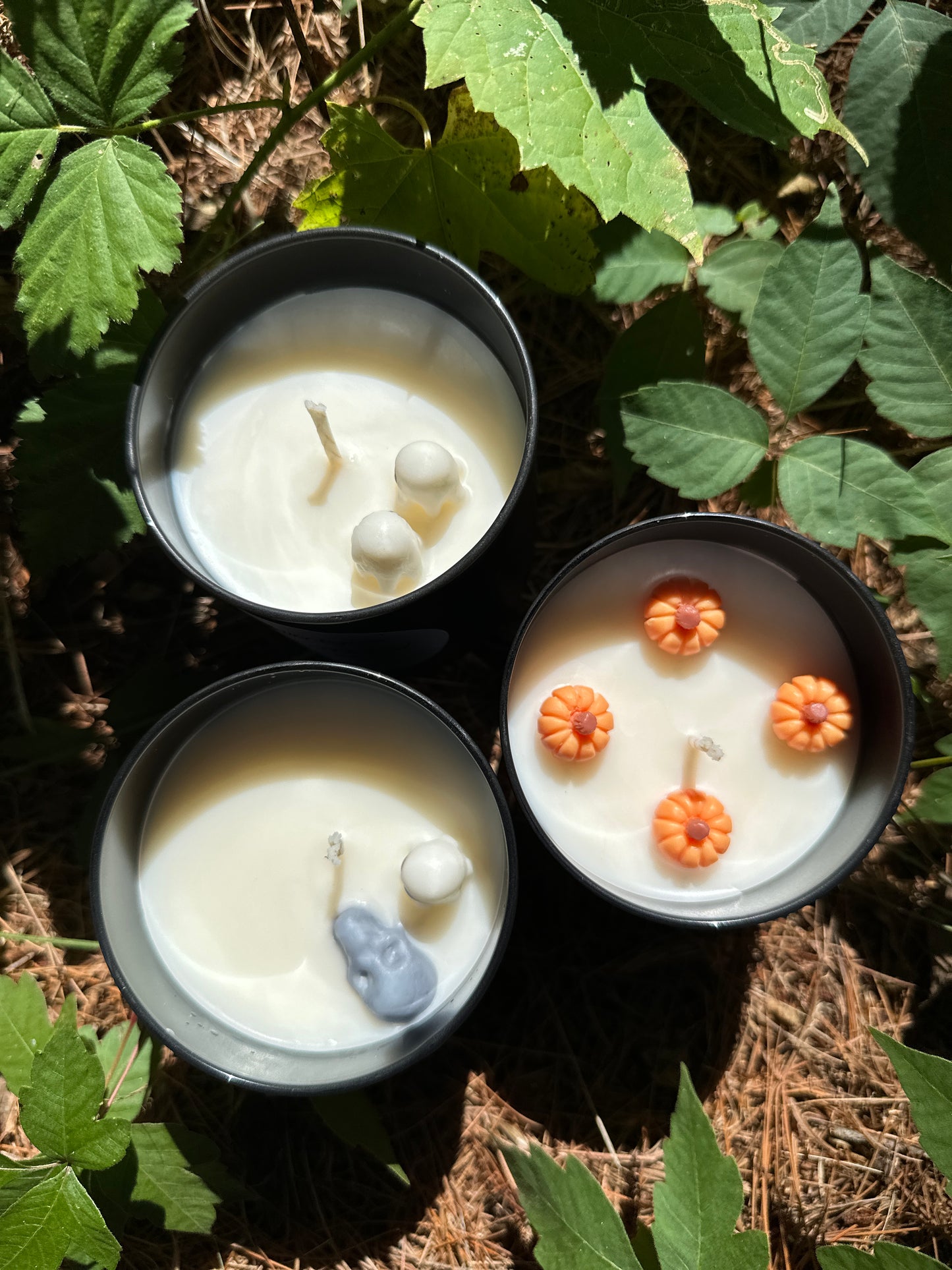 Autumn Launch Candle Trio