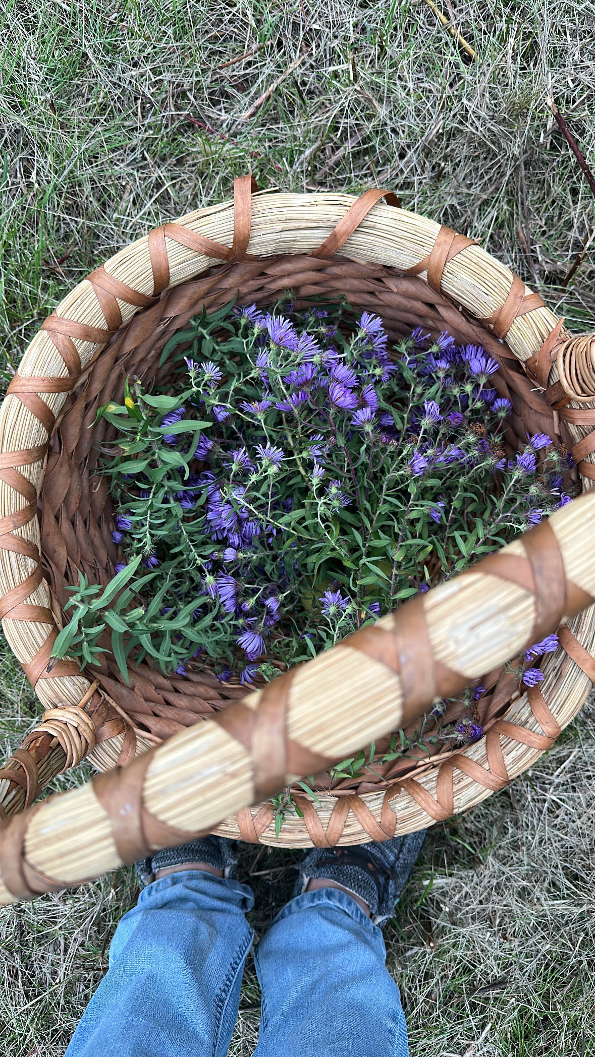 Aster & Sage Bar | Hand Harvest Herbs In Your Soap