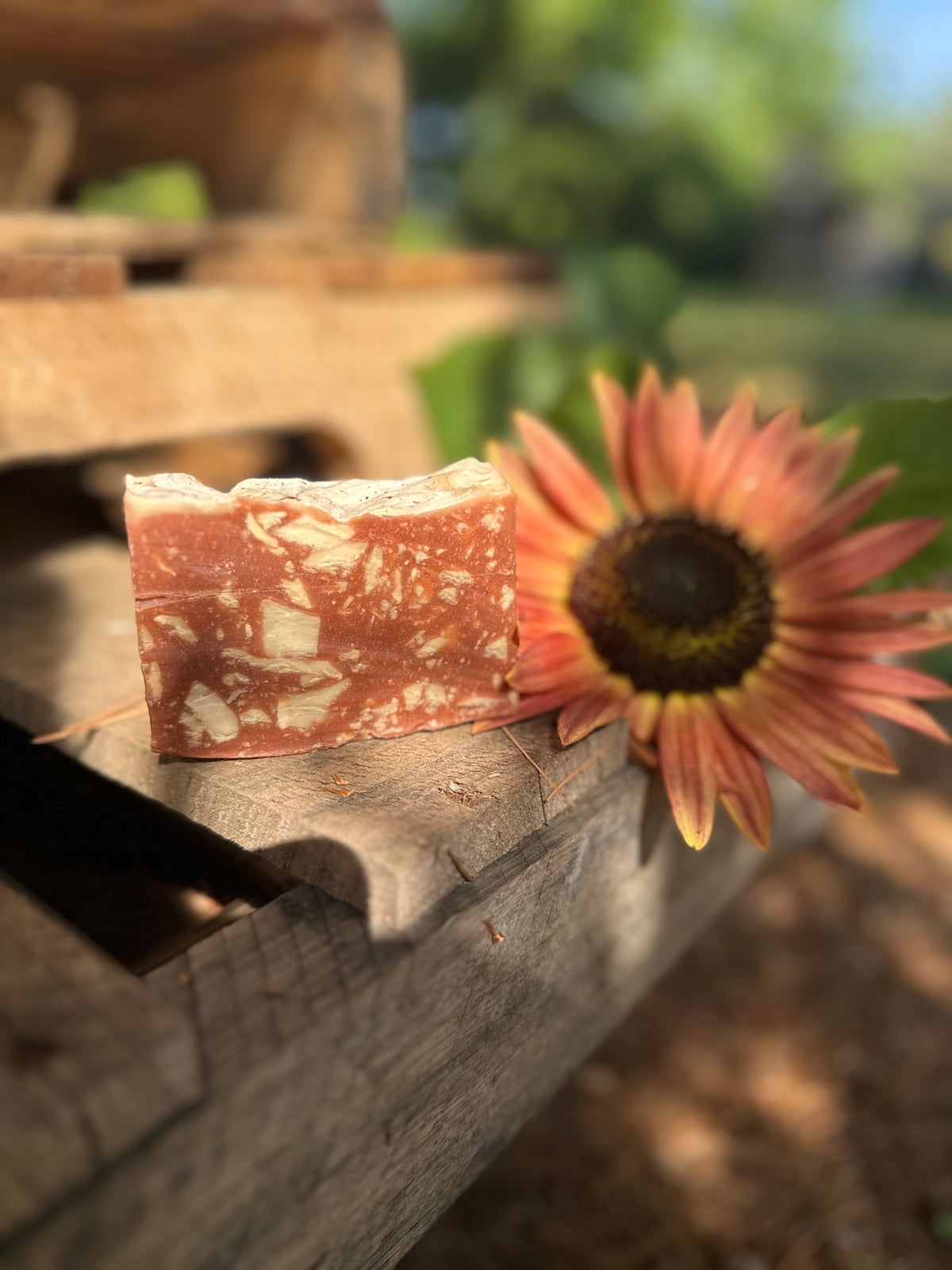 Bulk Order Burnt Orange + Oud Bar