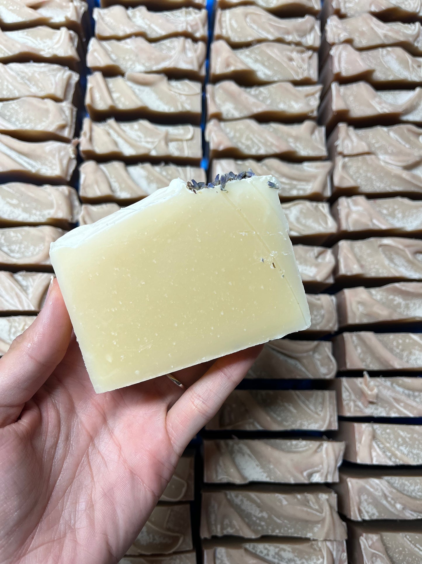 Lavender & Mint Shampoo Bar