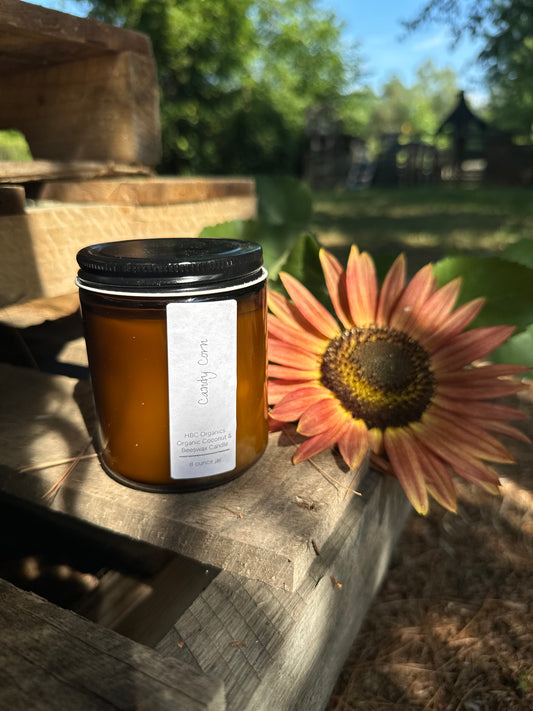 Autumn 2026 Coconut Beeswax Candles | Wood Wick Candles