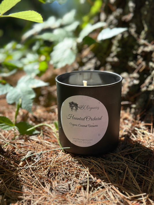 HBC Organics Classic Candles