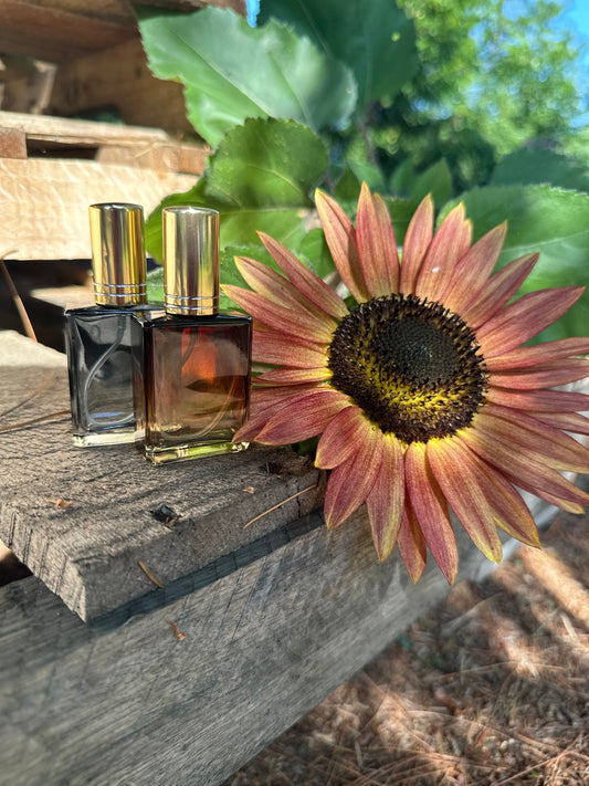 Autumn Perfumes | Cologne | Autumn Collection 2026