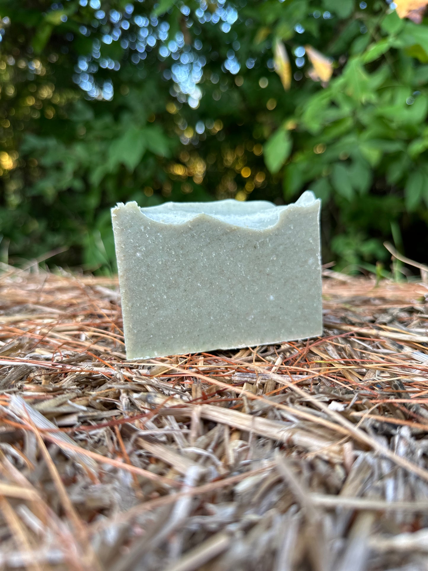 Hey Bay Bay Bar Soap