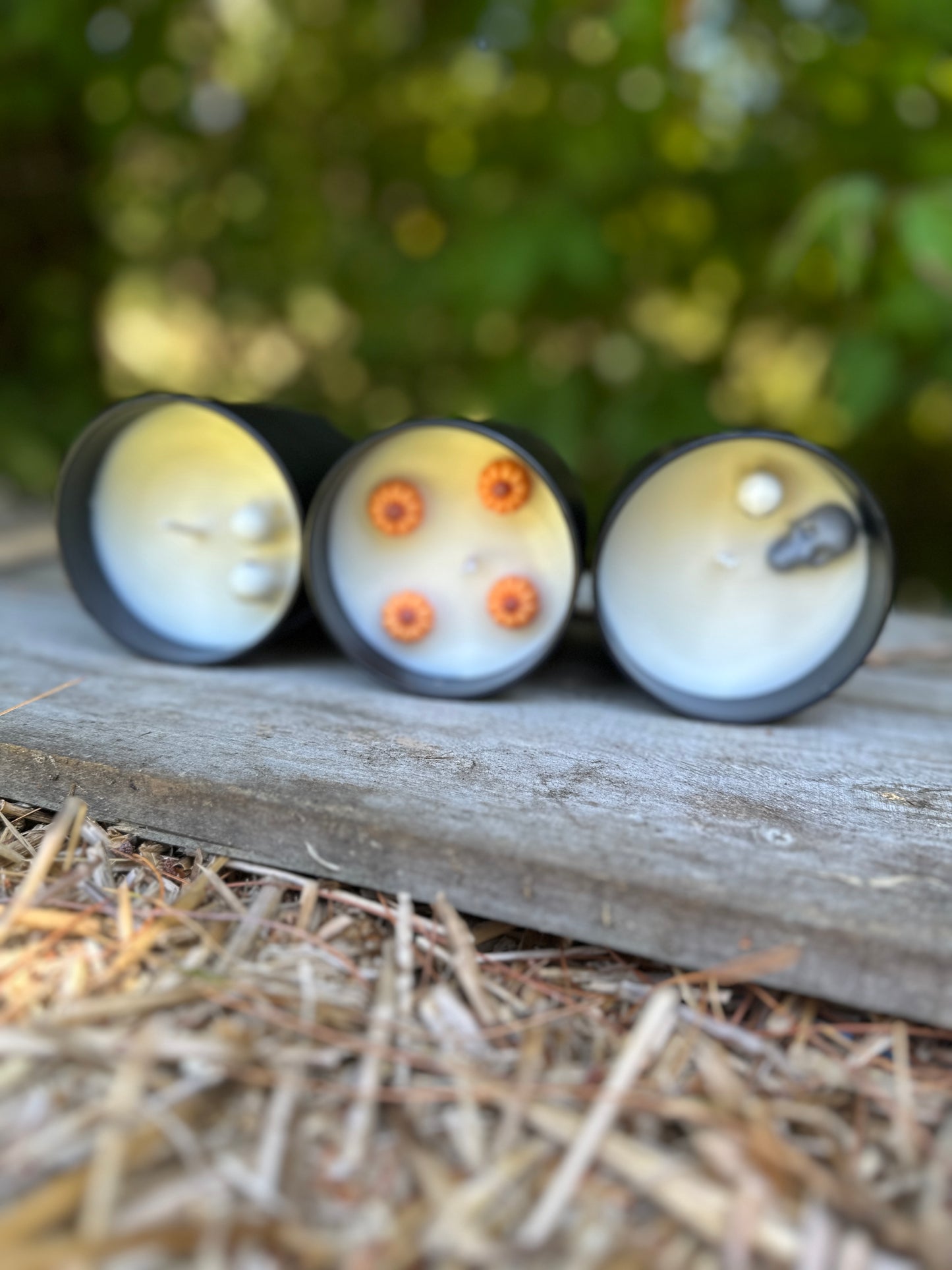 Saturday Flash Bundle