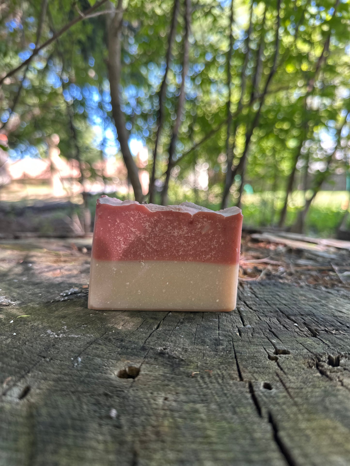 Summer Bar Soap Collection