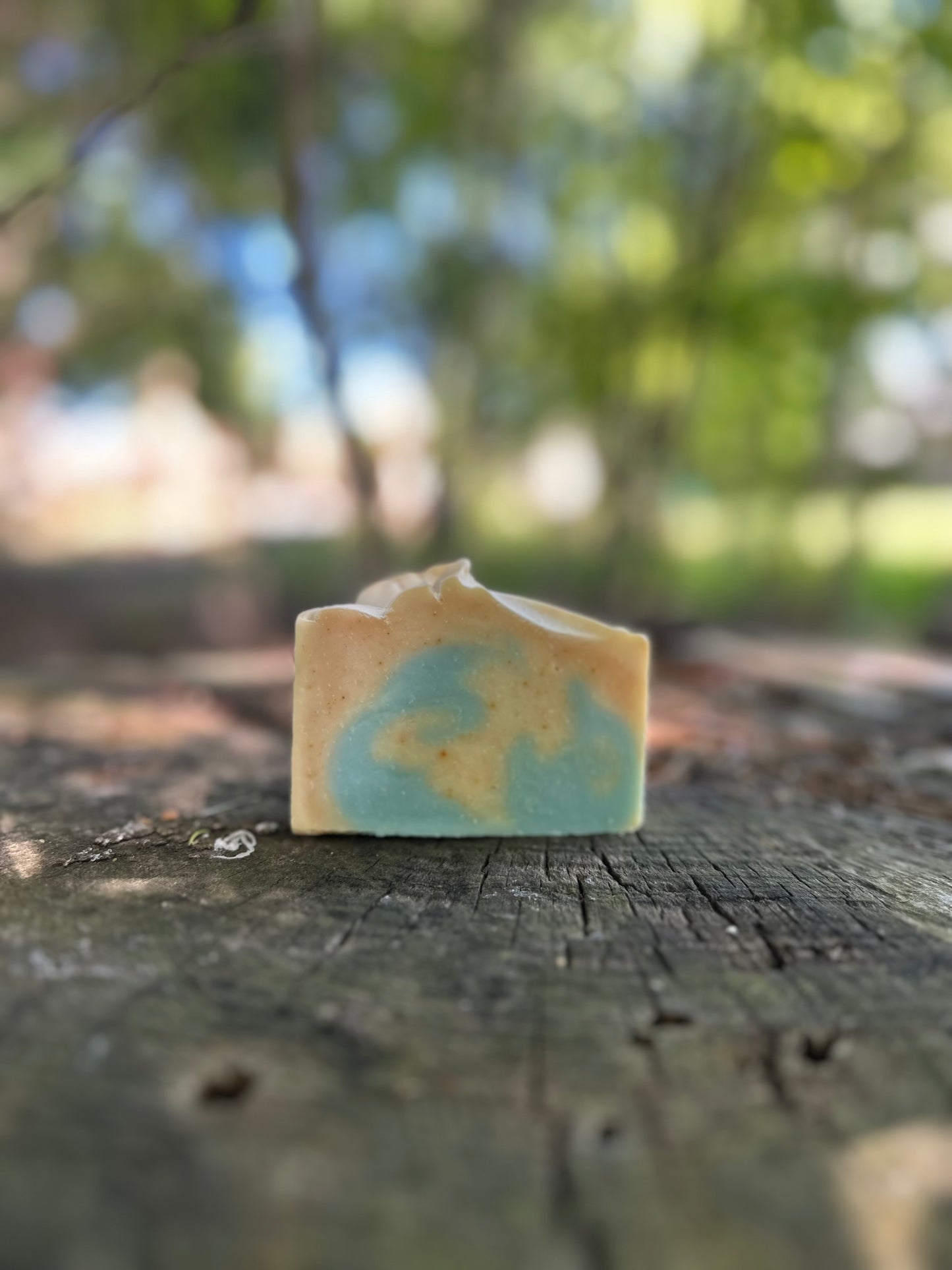 Summer Bar Soap Collection