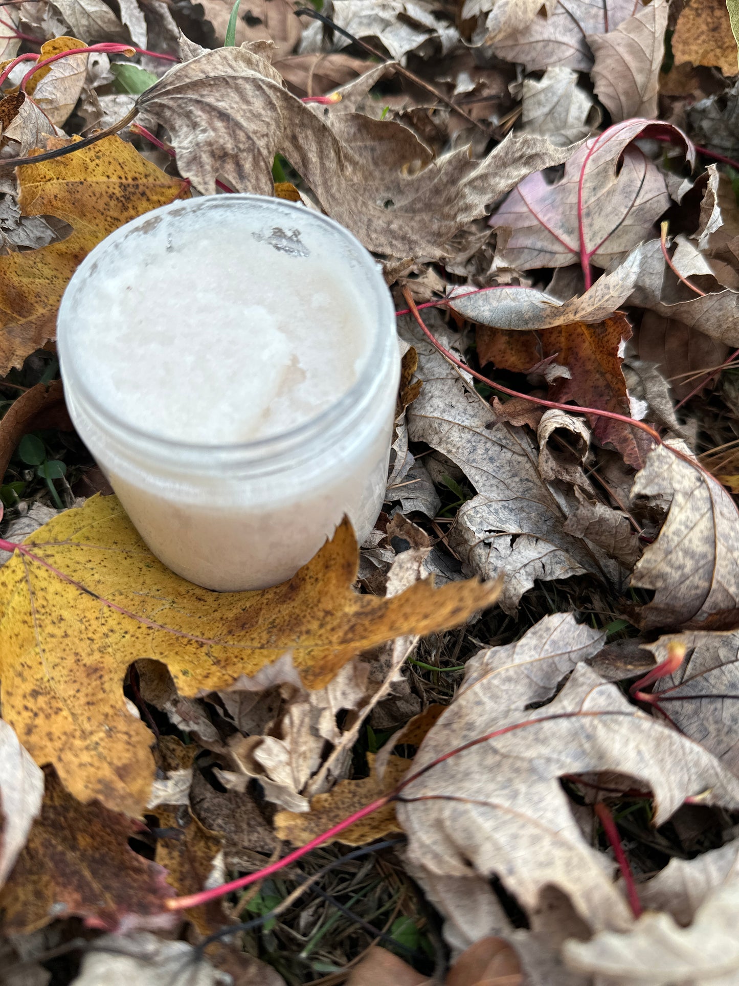 Pasture Raised Tallow Sugar Scrub
