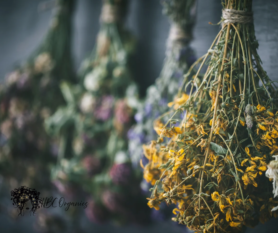 The Master Brew | Herbal Blend For Tincture Making |