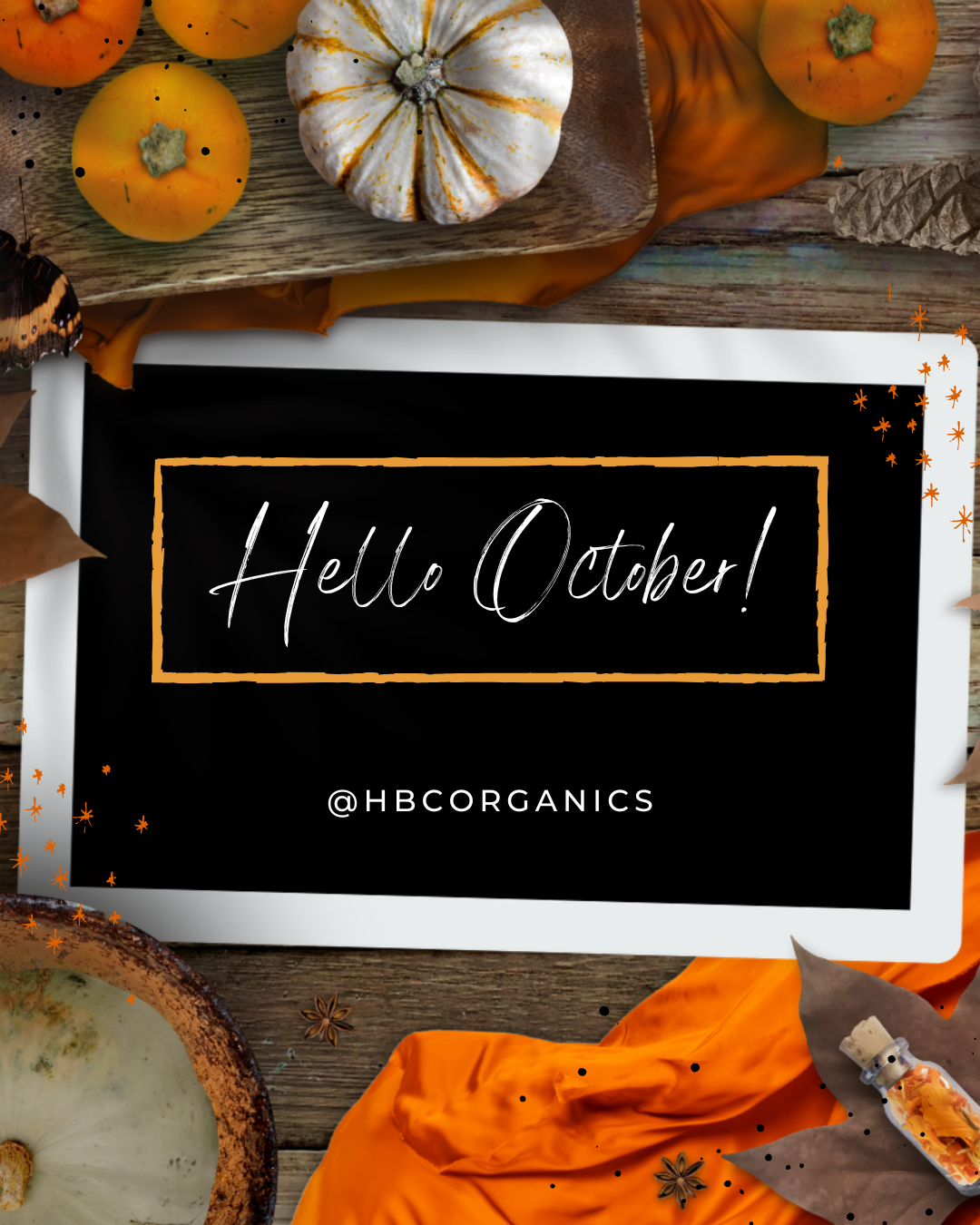 Hello October Wacky Wednesday Bundle