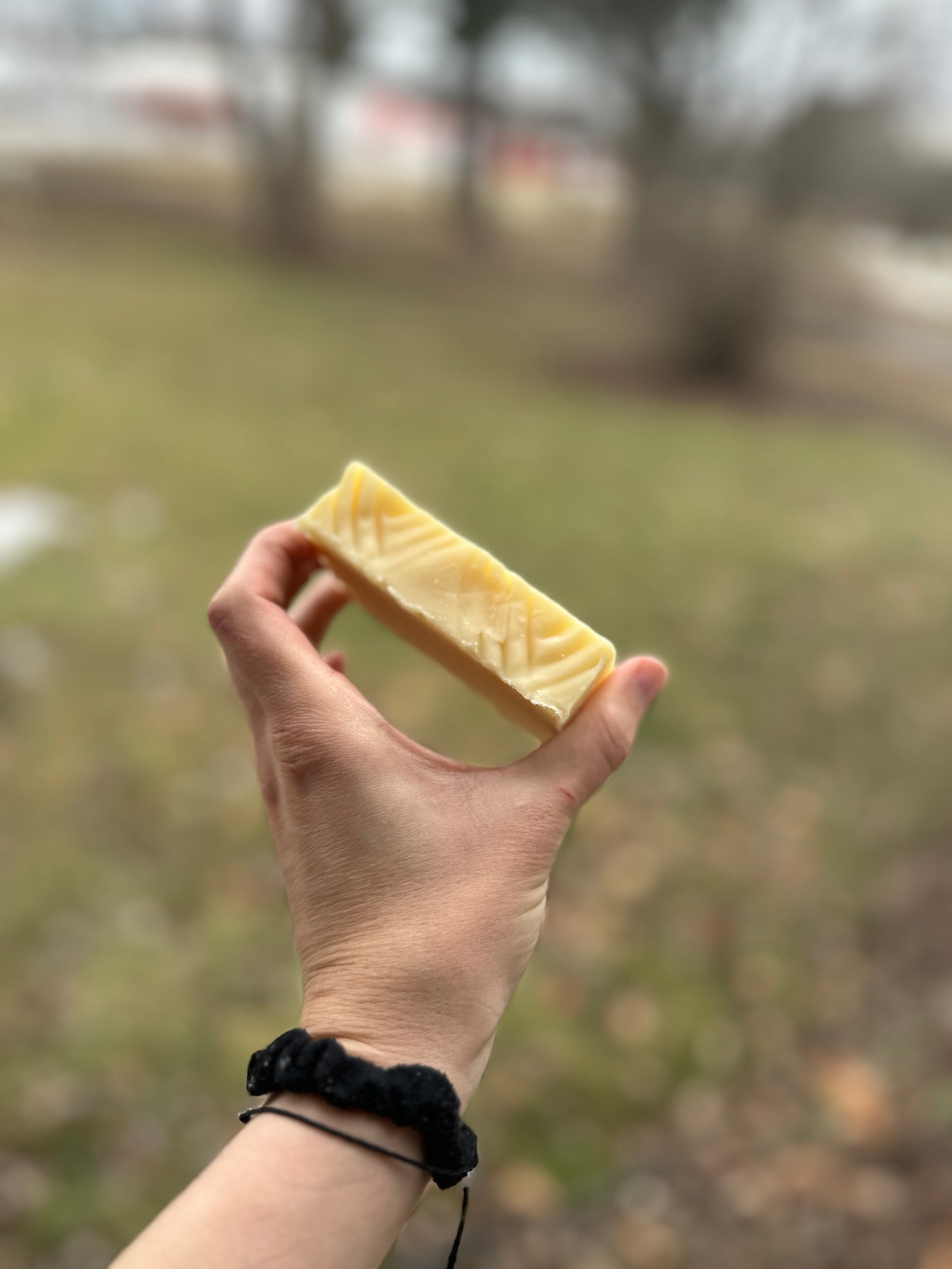 Asgard Tallow Cold Process Soap