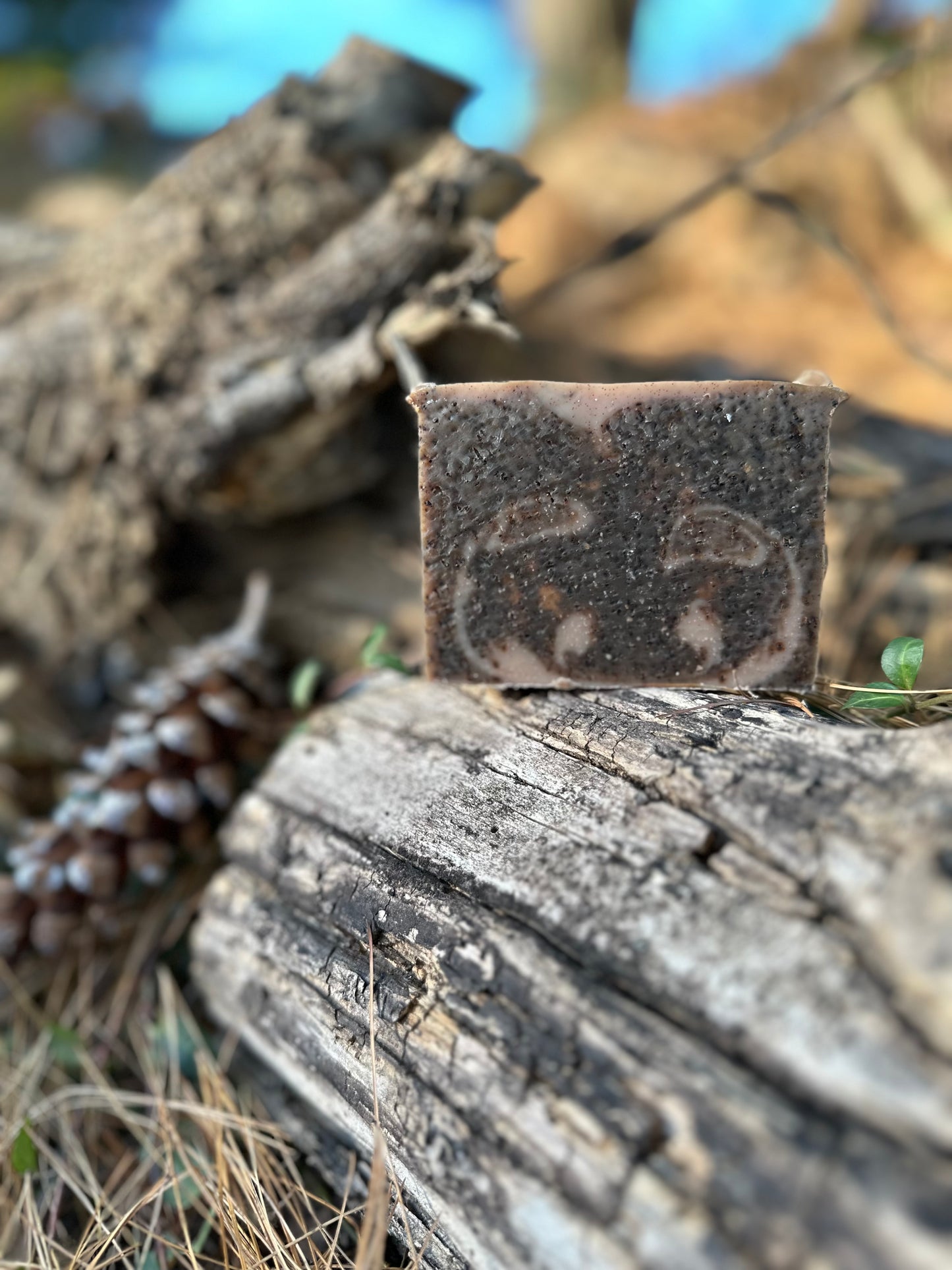 Peppermint Mocha Exfoliation Bar