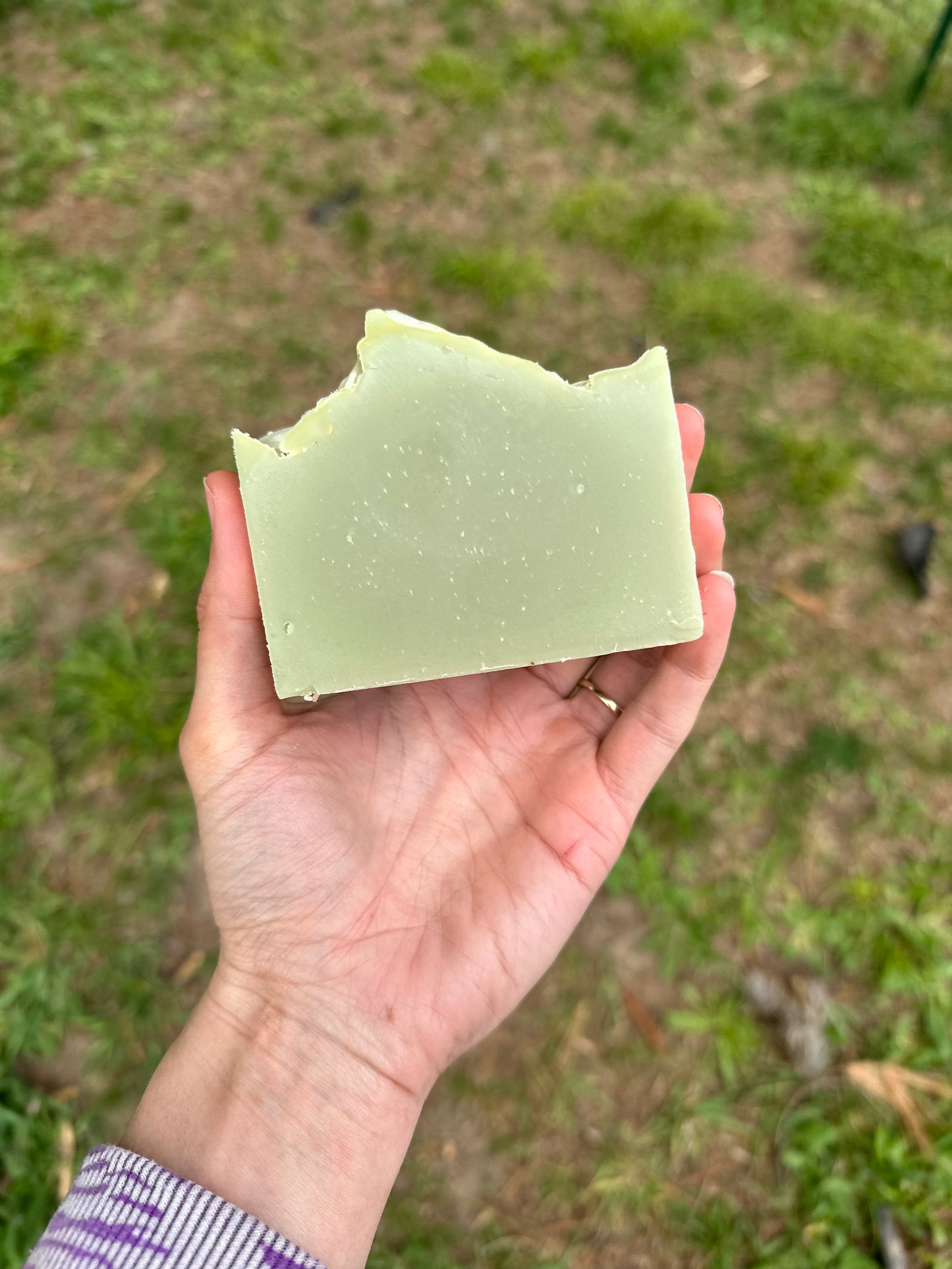 Coconut + Sandalwood Gentle Bar