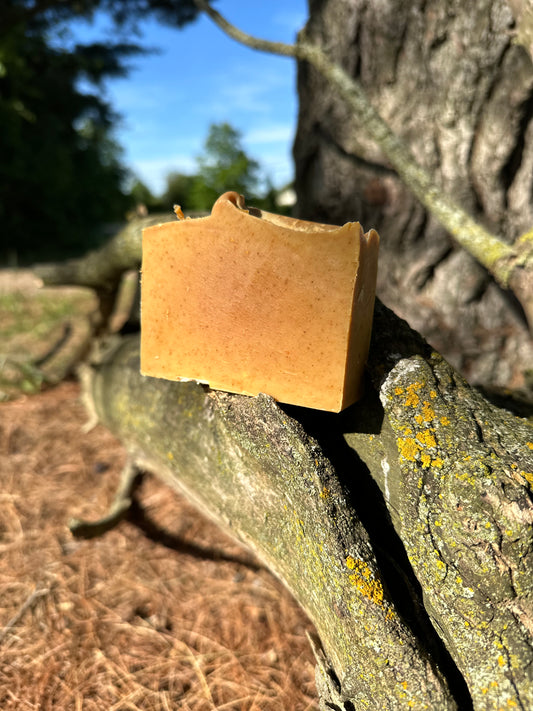 Honey & Turmeric Cold Process Bar