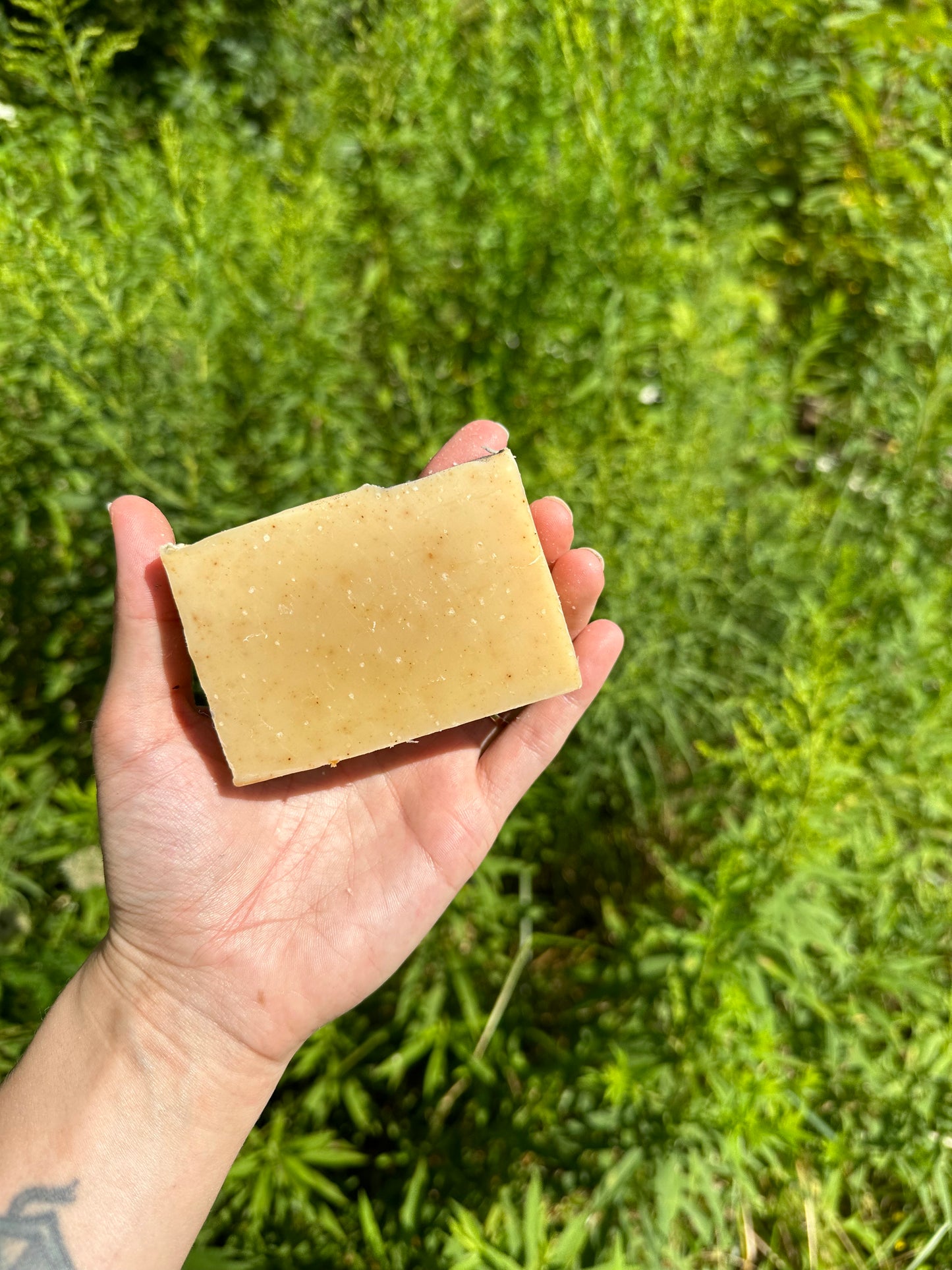 Pineapple Paradise Turmeric Beauty Bar