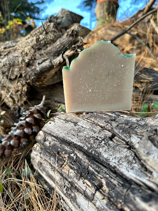 Winter Wonderland Soap Bar