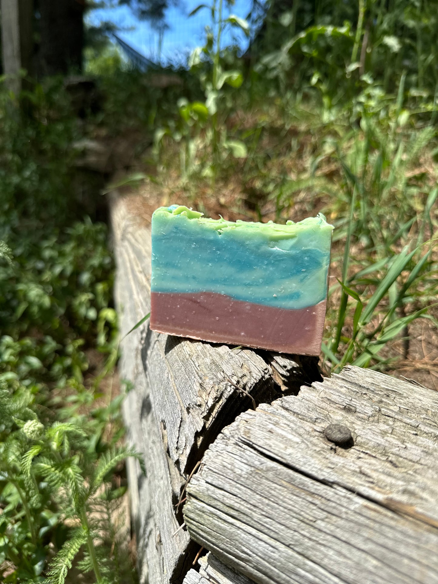 Beachwood Collection | Scent Saturday Release | June 6 |