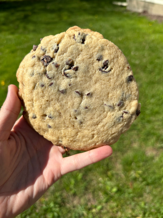 Chocolate Lovers Chocolate Chip Cookie Recipe