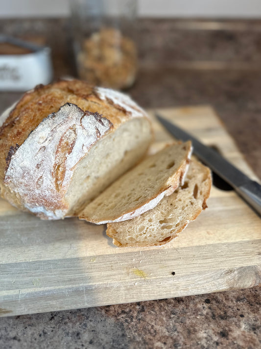 Beaird Family Homestead Freeze Dried Sourdough Starter -Revive, Feed, & Bake Your Way to Fresh Bread